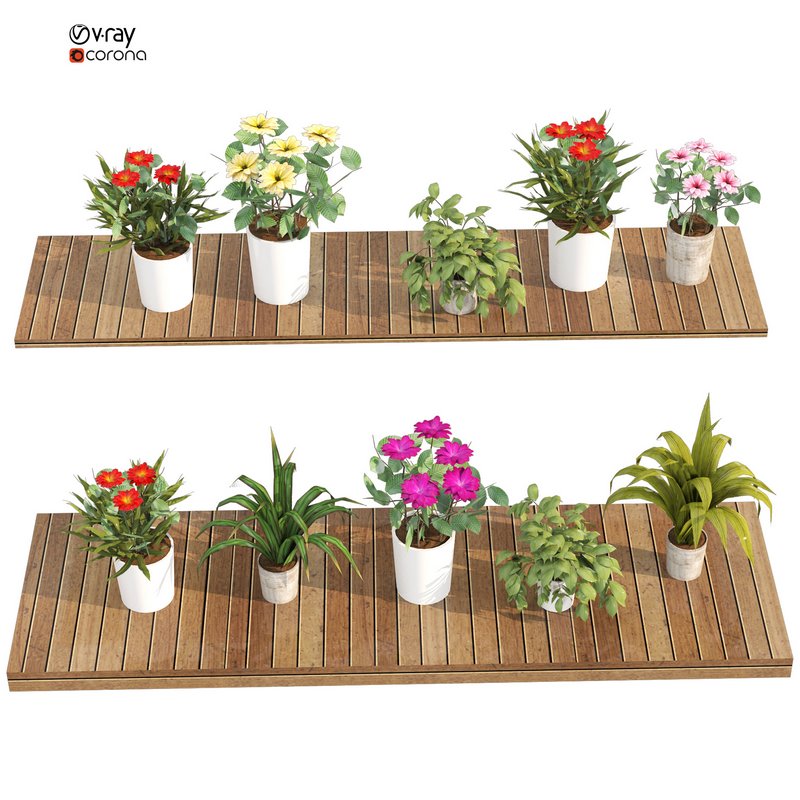 greenhouse - Image 6