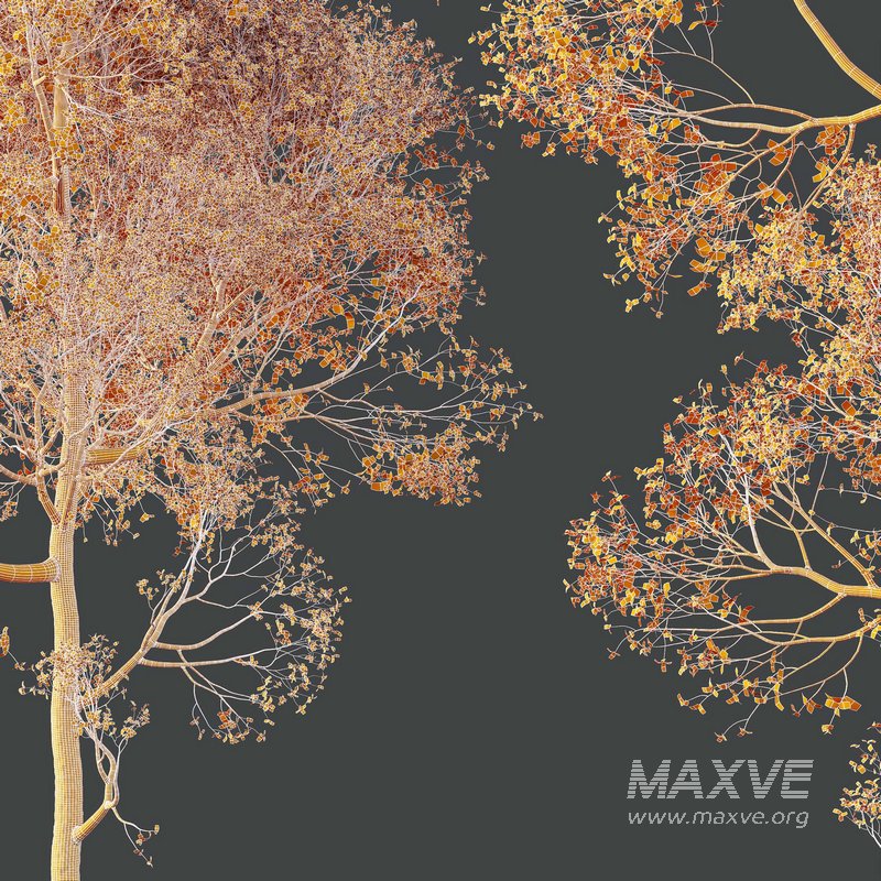 HQ Plants Shorea Robusta Sal Tree02 - Image 5