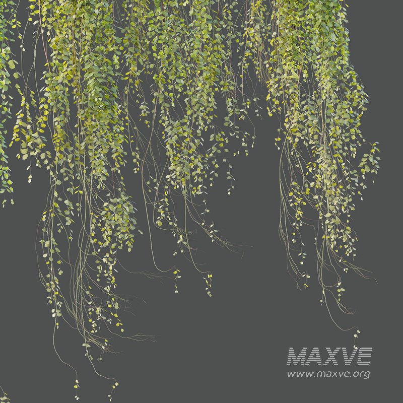 HQ HousePlants Hanged On Plants Set01 - Image 3