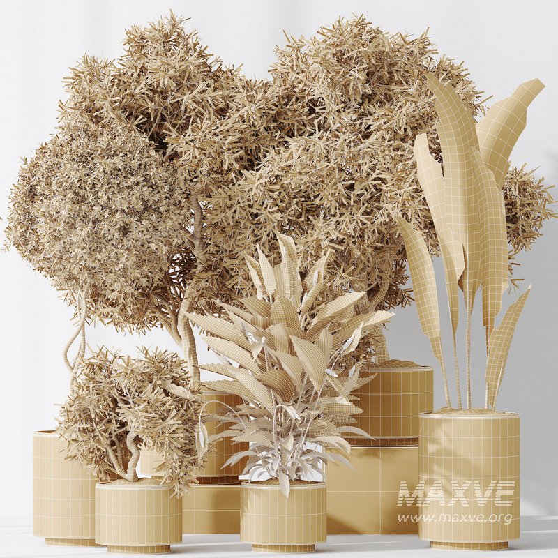 Indoor plant set 64 - Image 6