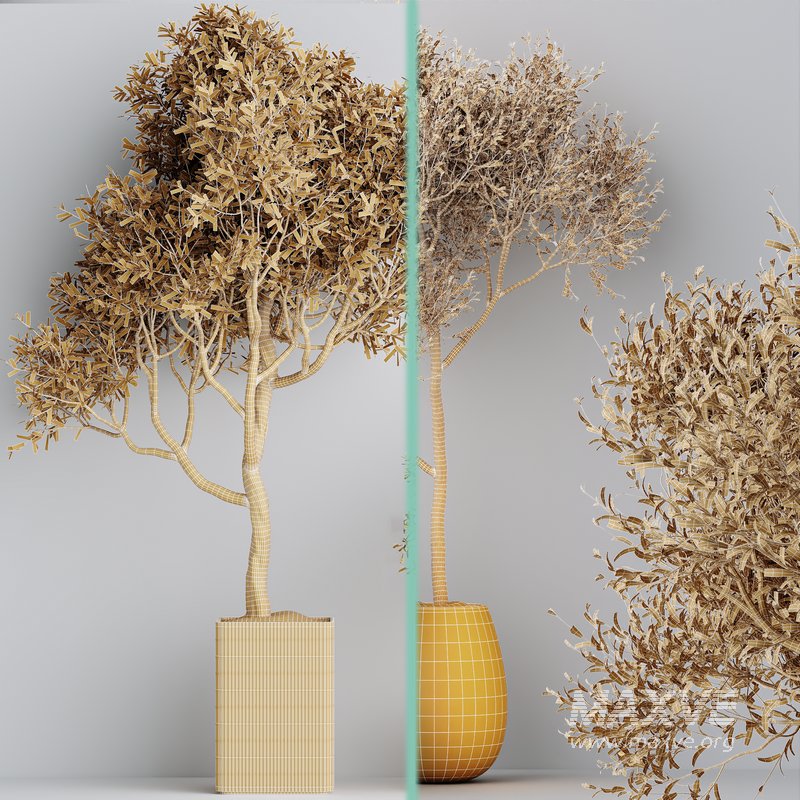 Indoor plant set 66 - Image 4