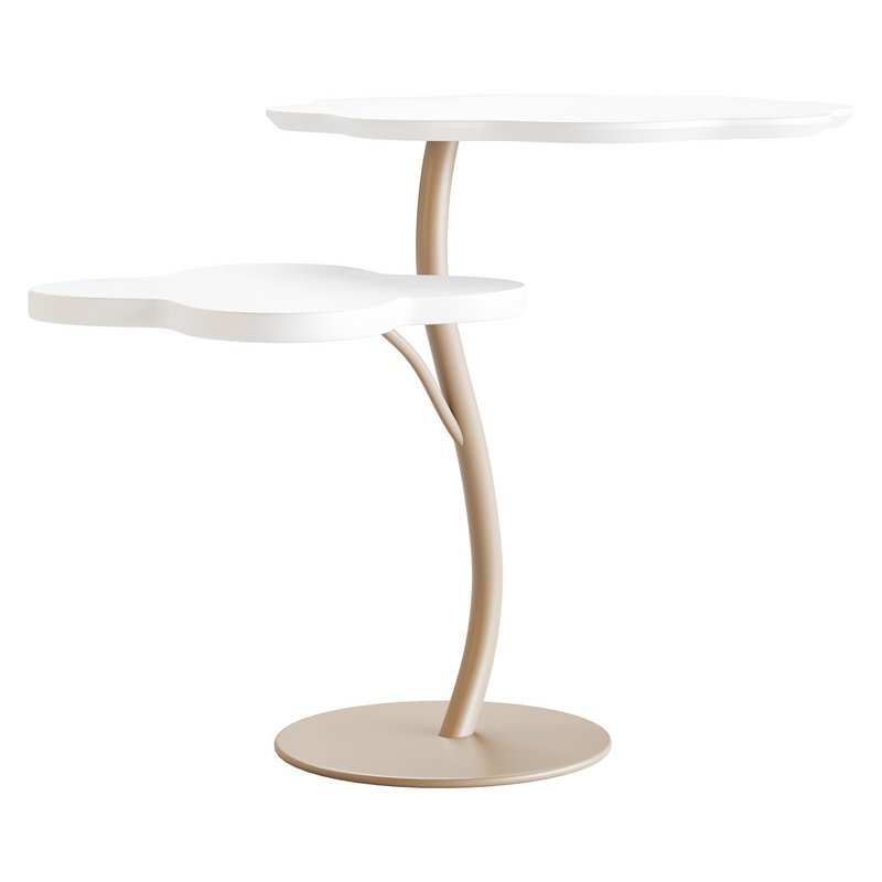 Luxurious Two Surface Table - Image 10