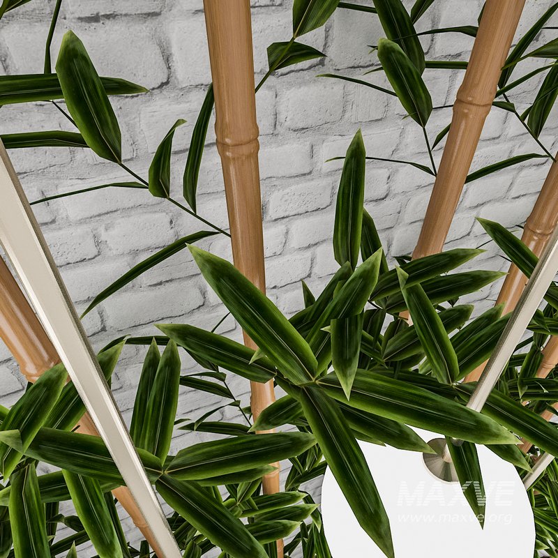 3D 3D Bamboo Decor - Image 4