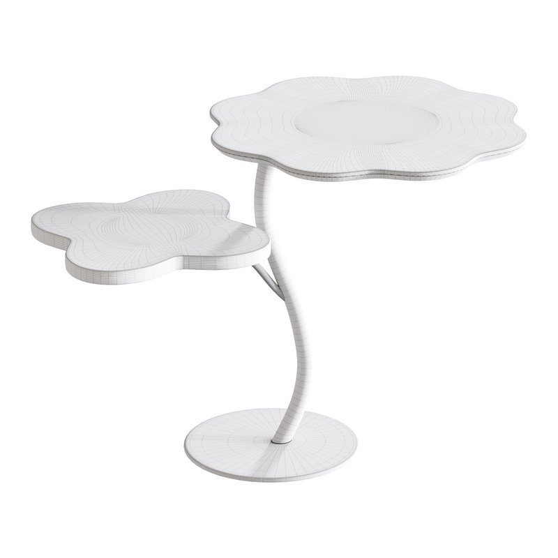 Luxurious Two Surface Table - Image 14