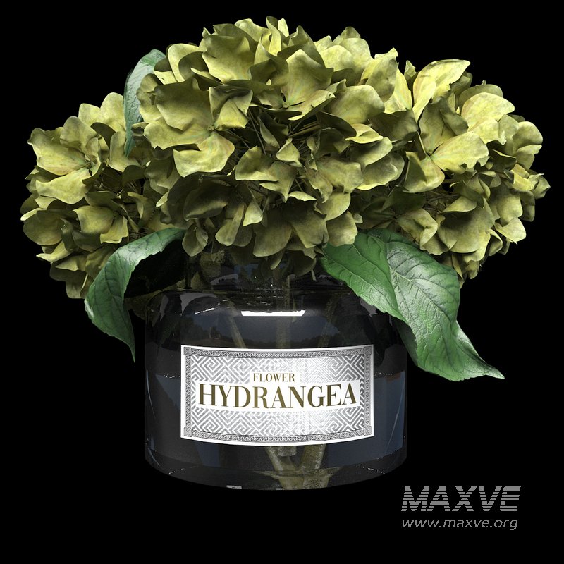 bouquet of hydrangea - Image 2