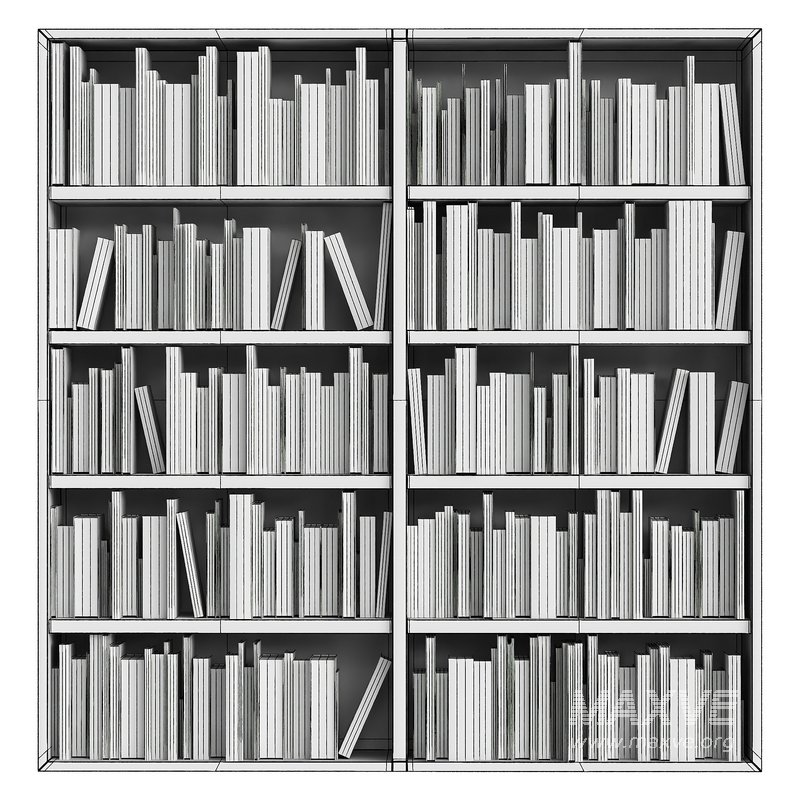 Bookshelf - Image 2