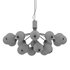 Apiales Chandeliers - Thumbnail 2
