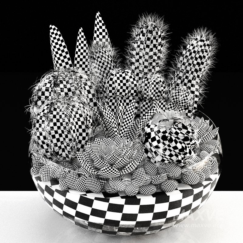 bowl of Cactus collection - Image 2