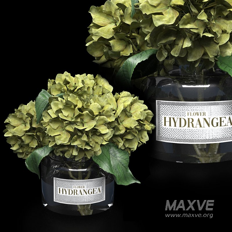 bouquet of hydrangea - Image 4