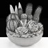 bowl of Cactus collection - Thumbnail 4
