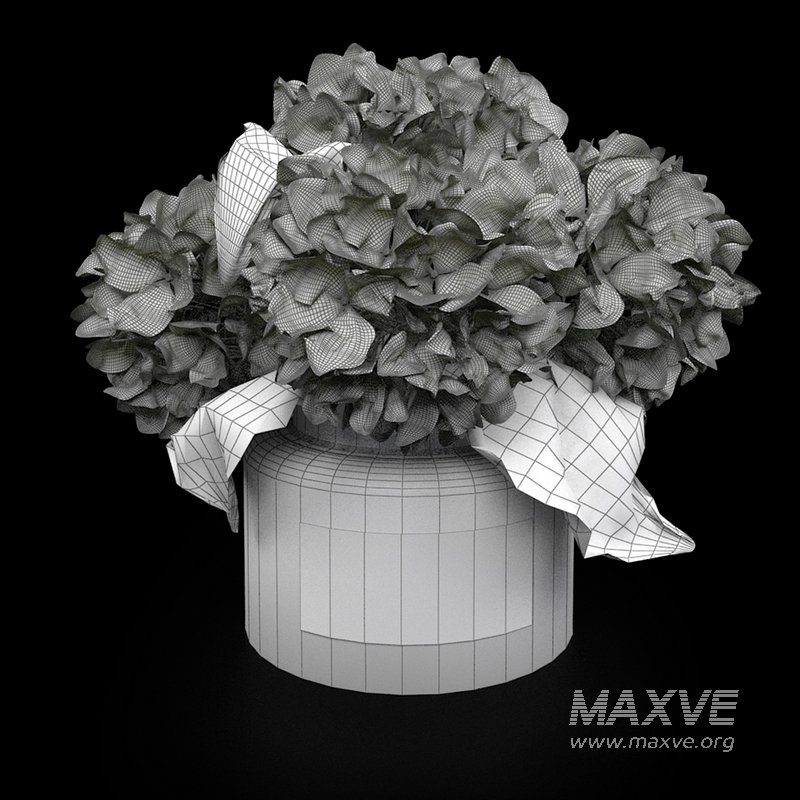 bouquet of hydrangea - Image 5