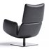 Jalis Lounge Easy Chair - Thumbnail 2