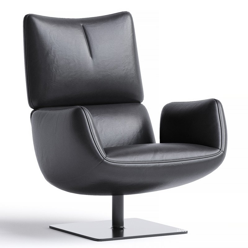 Jalis Lounge Easy Chair - Image 1