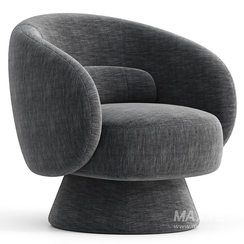 Saboor Modern Style Swivel Accent Chair & Barrel Chair - Image 2