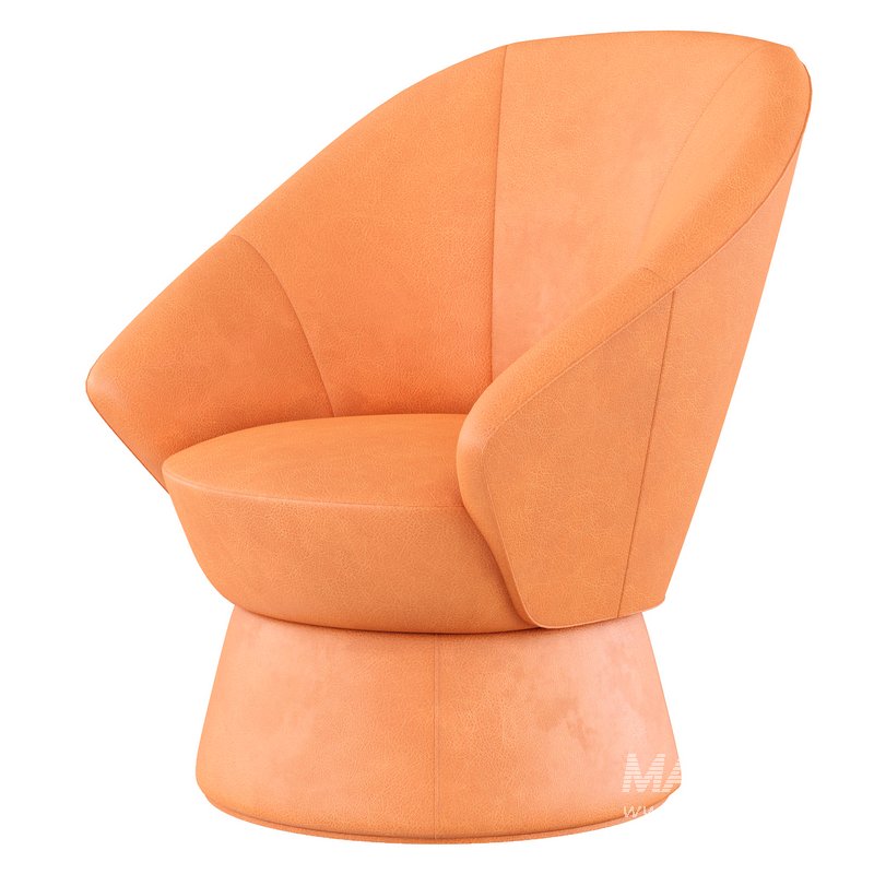 Armchair by De Sede - Image 2