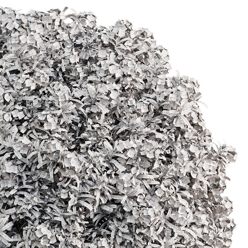 ourdoor plant 1 - Image 2