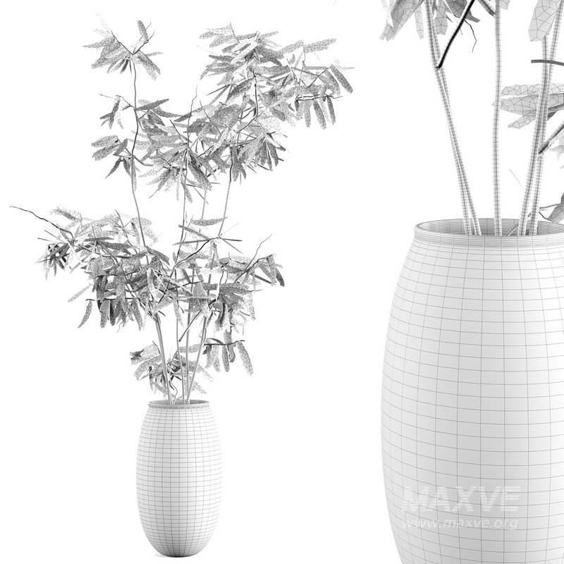 Ficus branches bouquet set 01 - Image 2