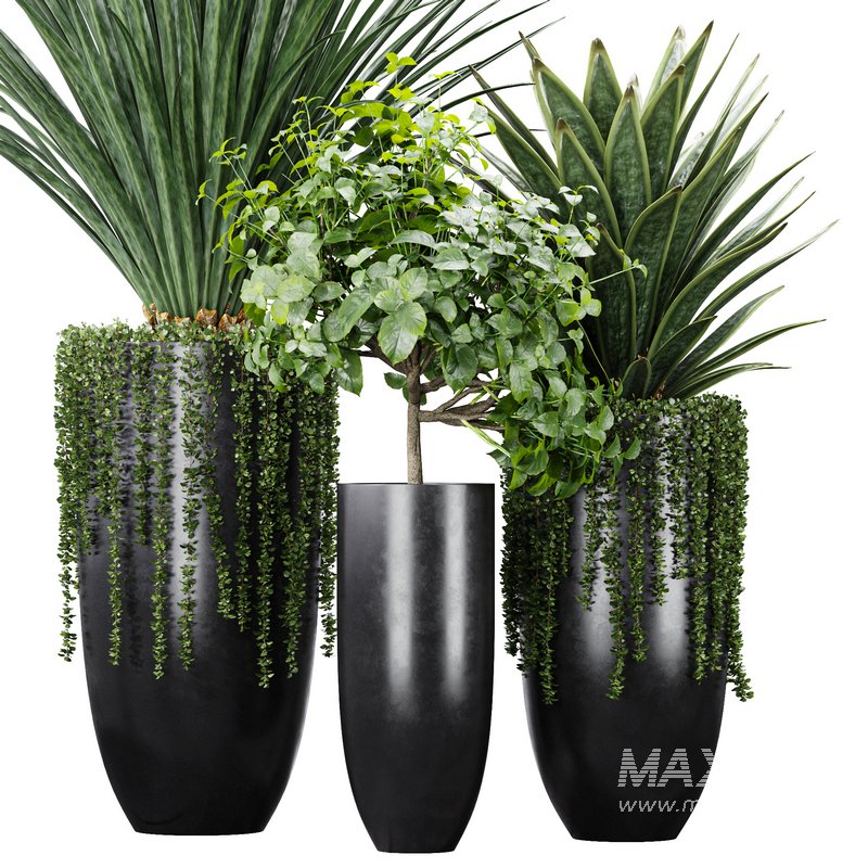 Indoor Artificial Office Plants Large Succulents - Image 1