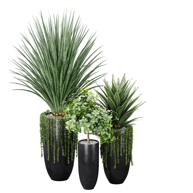 Indoor Artificial Office Plants Large Succulents - Image 3