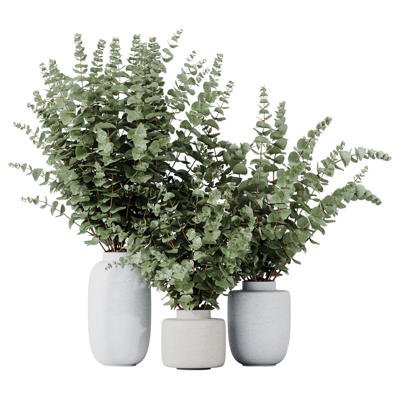 HQ HousePlants Branche Decorative Foliage Dollar Authentic Eucalyptus Bouquet Set02 - Image 1