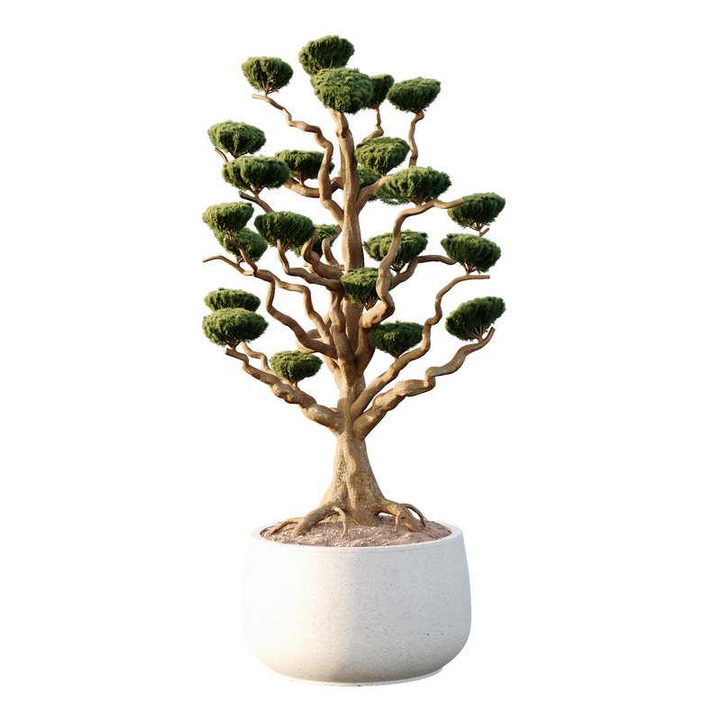 Potted sphere tree05 - Image 2