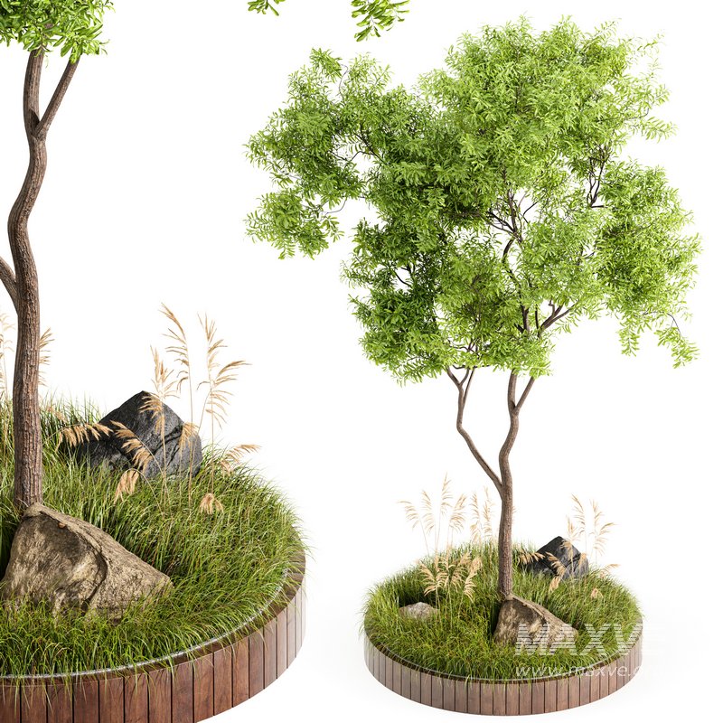 Outdoor Plant Set 001 – Plant Square - Image 1