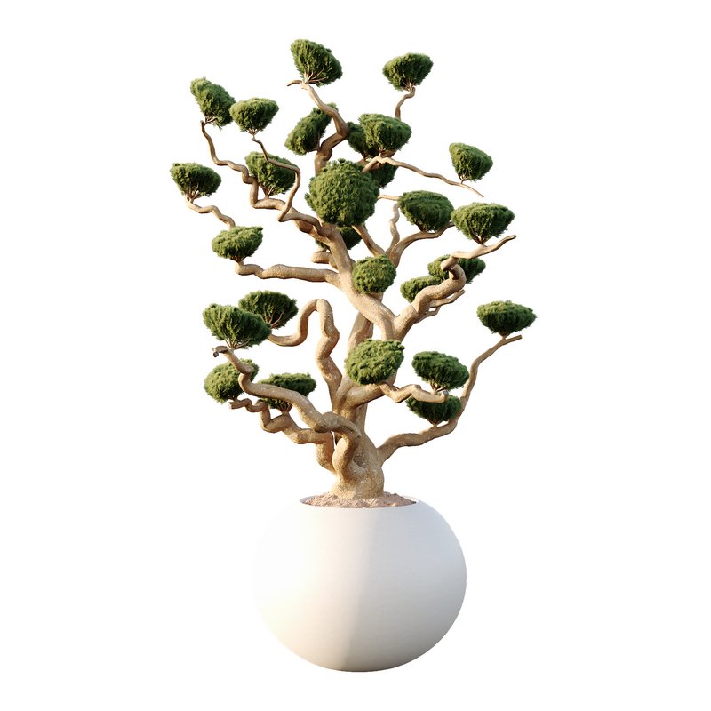 Potted sphere tree01 - Image 1