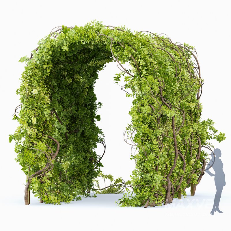 Magical Tree Tunnel Was Carved Out - Image 1