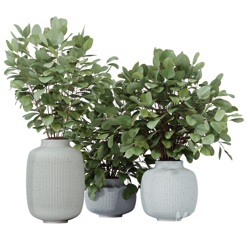 HQ HousePlants Branche Decorative Foliage Dollar Authentic Eucalyptus Bouquet - Image 1