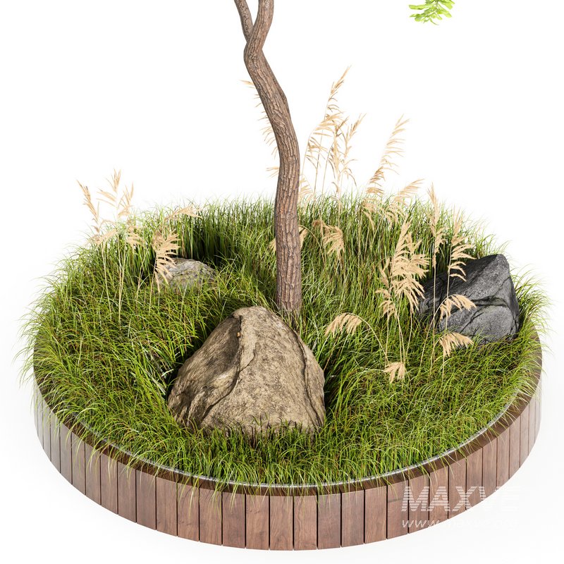 Outdoor Plant Set 001 – Plant Square - Image 3