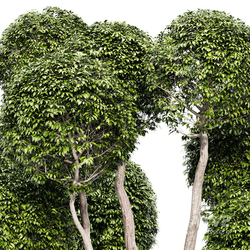 Fancy shaped decorative tree - Image 2