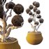 Potted sphere tree04 - Thumbnail 2