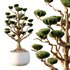 Potted sphere tree05 - Thumbnail 1