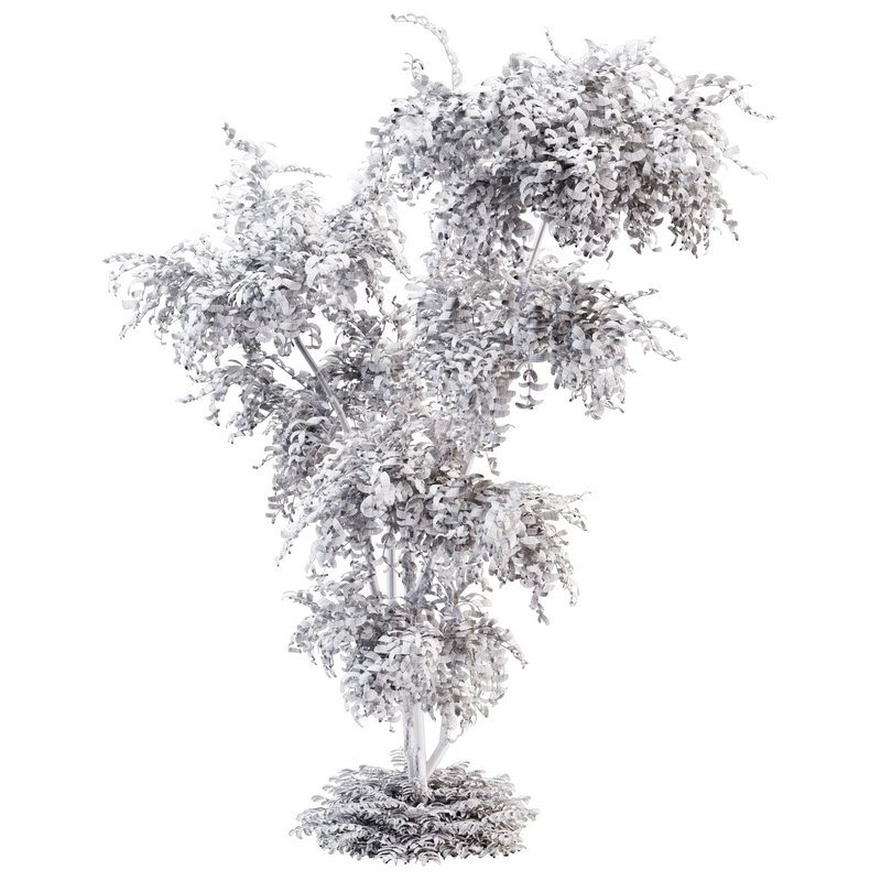 Outdoor Plant set01_Bucida buceras _set - Image 3