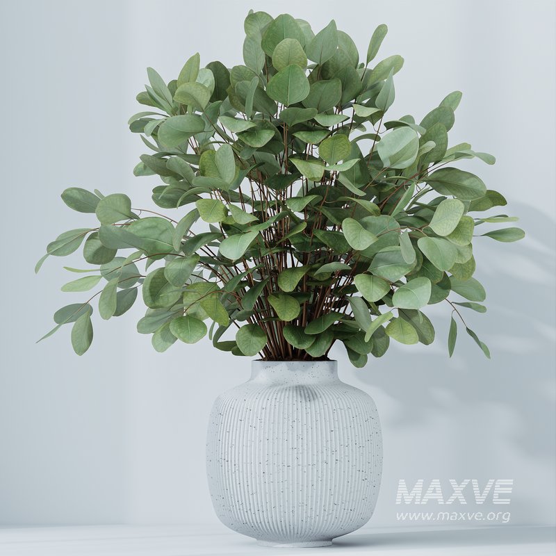 HQ HousePlants Branche Decorative Foliage Dollar Authentic Eucalyptus Bouquet - Image 3
