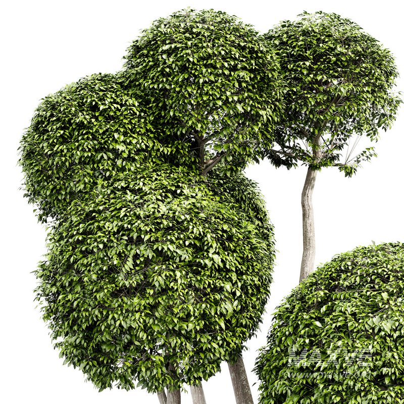 Fancy shaped decorative tree - Image 3