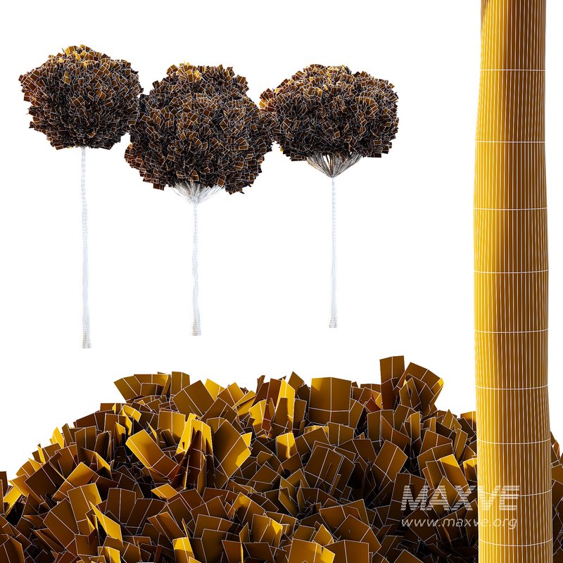 Italian Cypress Tree 15 - Image 3