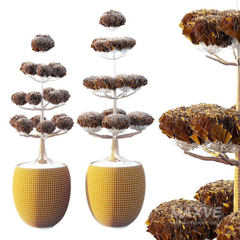 Potted sphere tree03 - Image 2