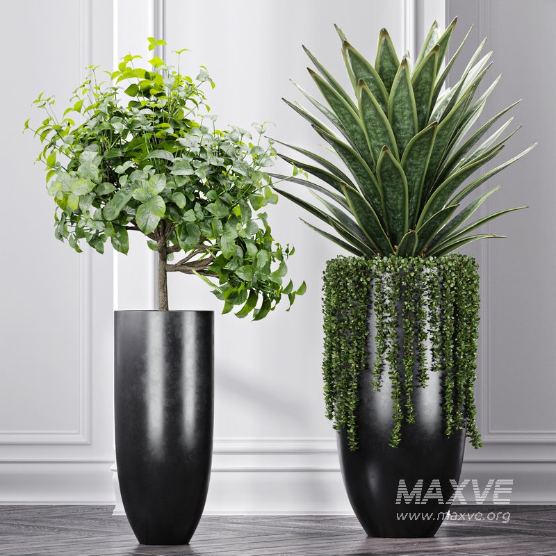 Indoor Artificial Office Plants Large Succulents - Image 6