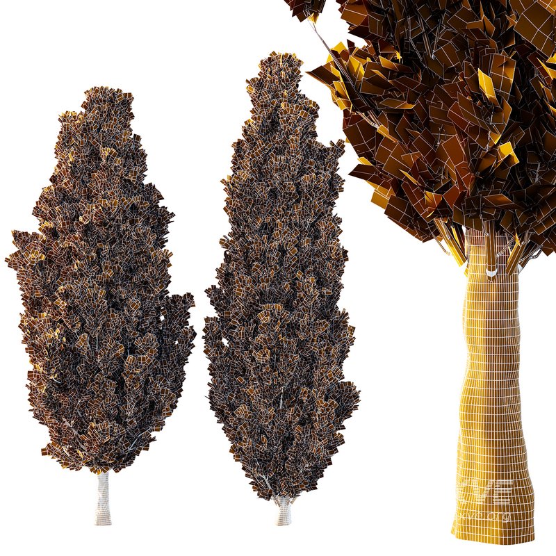 Italian Cypress Tree 17 - Image 2