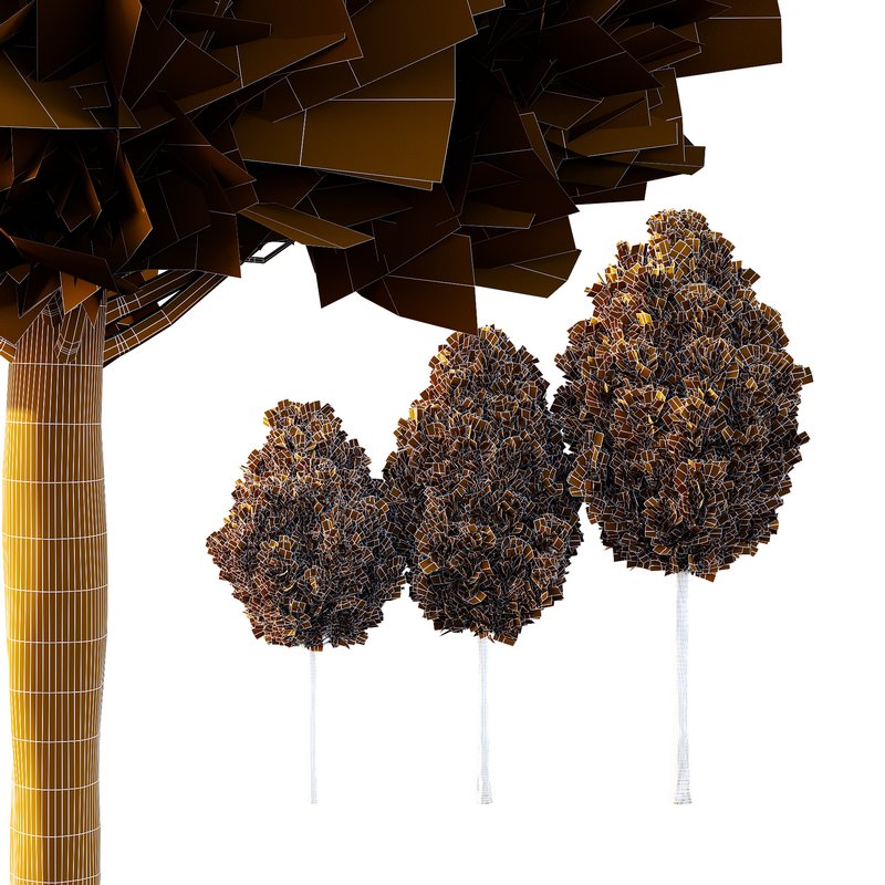 Italian Cypress Tree 18 - Image 3