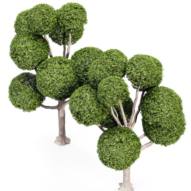 Fancy shaped decorative tree - Image 4