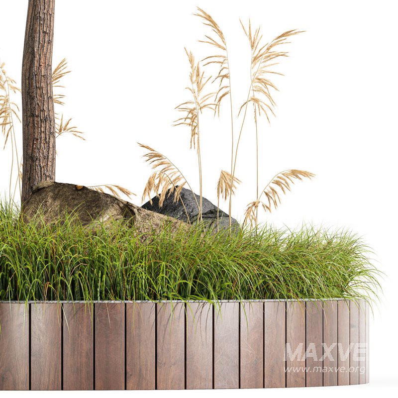 Outdoor Plant Set 001 – Plant Square - Image 5