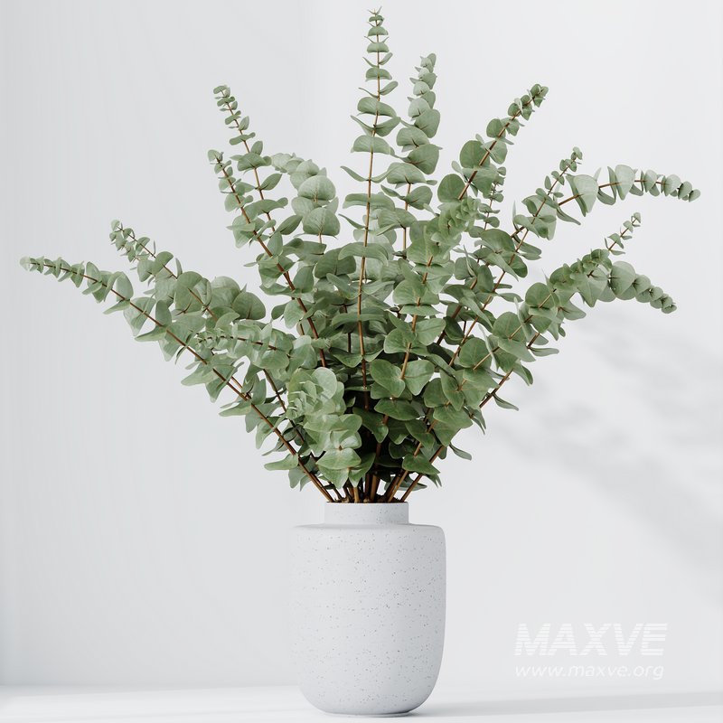 HQ HousePlants Branche Decorative Foliage Dollar Authentic Eucalyptus Bouquet Set02 - Image 4