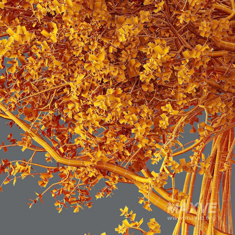 HQ Plants Banyan Ficus Benghalensis Tree - Image 4