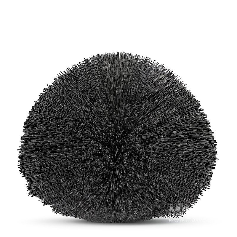 description Maiden Grass Miscanthus sinensis Gracillimus Tuin Grassen - Image 4