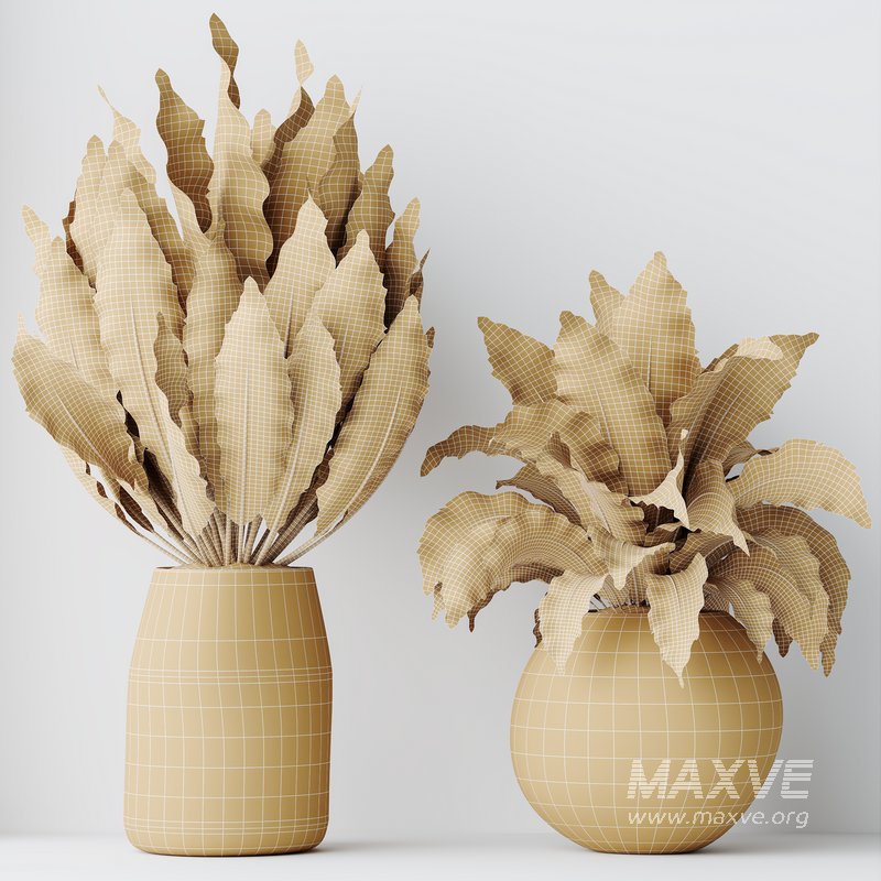 HQ HousePlants Spathiphyllum Wallisii Bellini Peace Lily Domino Set04 - Image 5