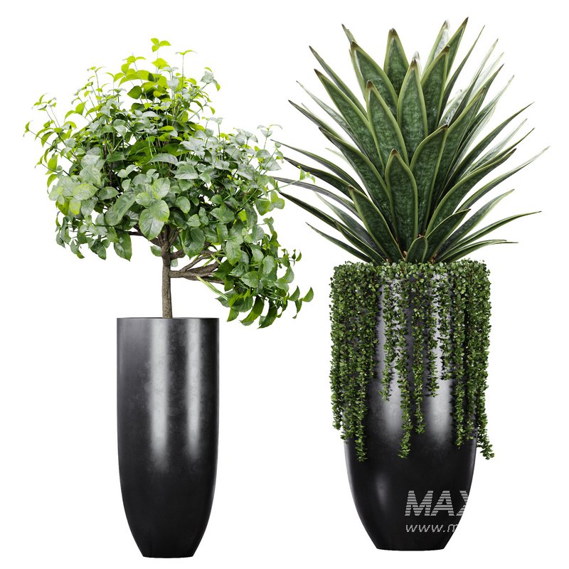 Indoor Artificial Office Plants Large Succulents - Image 2