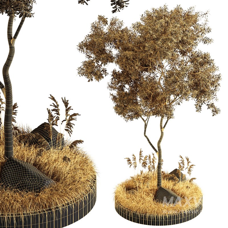 Outdoor Plant Set 001 – Plant Square - Image 4