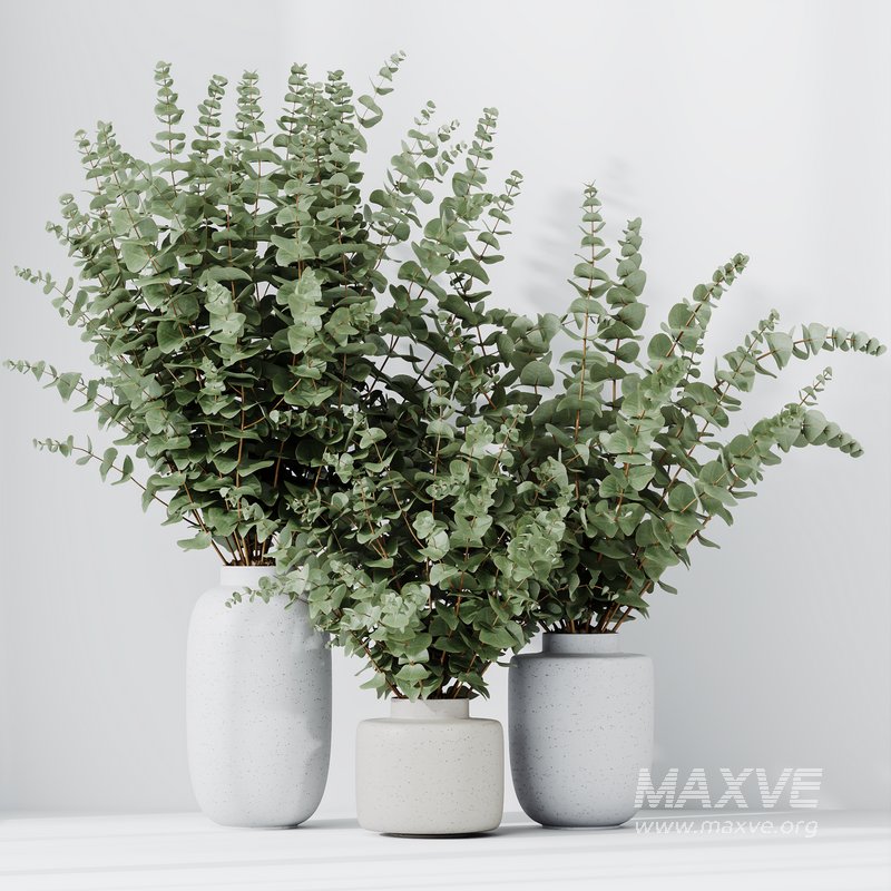HQ HousePlants Branche Decorative Foliage Dollar Authentic Eucalyptus Bouquet Set02 - Image 5